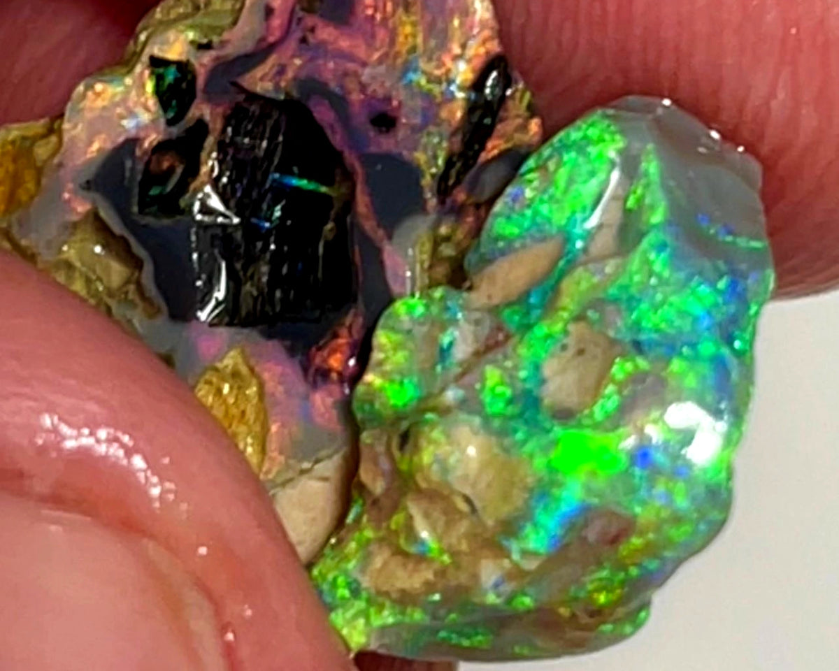 Lightning Ridge Rough Opal 8.75cts Dark Crystal Fossil Formations showing nice Reds &  Bright Multicolours 14x12x4 & 13x10x6 mm WAE54