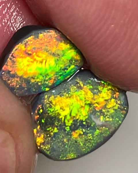 Lightning Ridge Rough / Rub Black opal Pair Miners Bench®  2.2cts Exotic Super Bright Vibrant & Vivid Multifires  11x8x1mm & 9x6x1mm WSU52