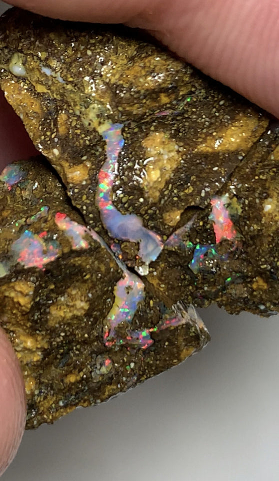 Australian Rough Boulder Matrix Opal 57cts TOP END Winton Fields Lots Gorgeous Bright Reds & Multi Fires to face/veins 22x16x14mm to 18x10x10mm WST38