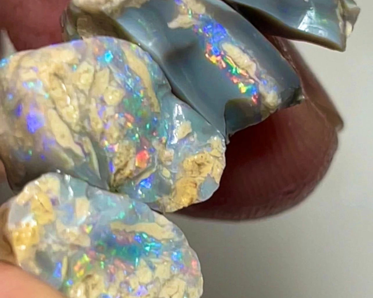 Knobby Rough opal from Lightning Ridge Australia 23cts total weight size range of 14x12x6 to 13x9x8 mm Nice fires OH1849