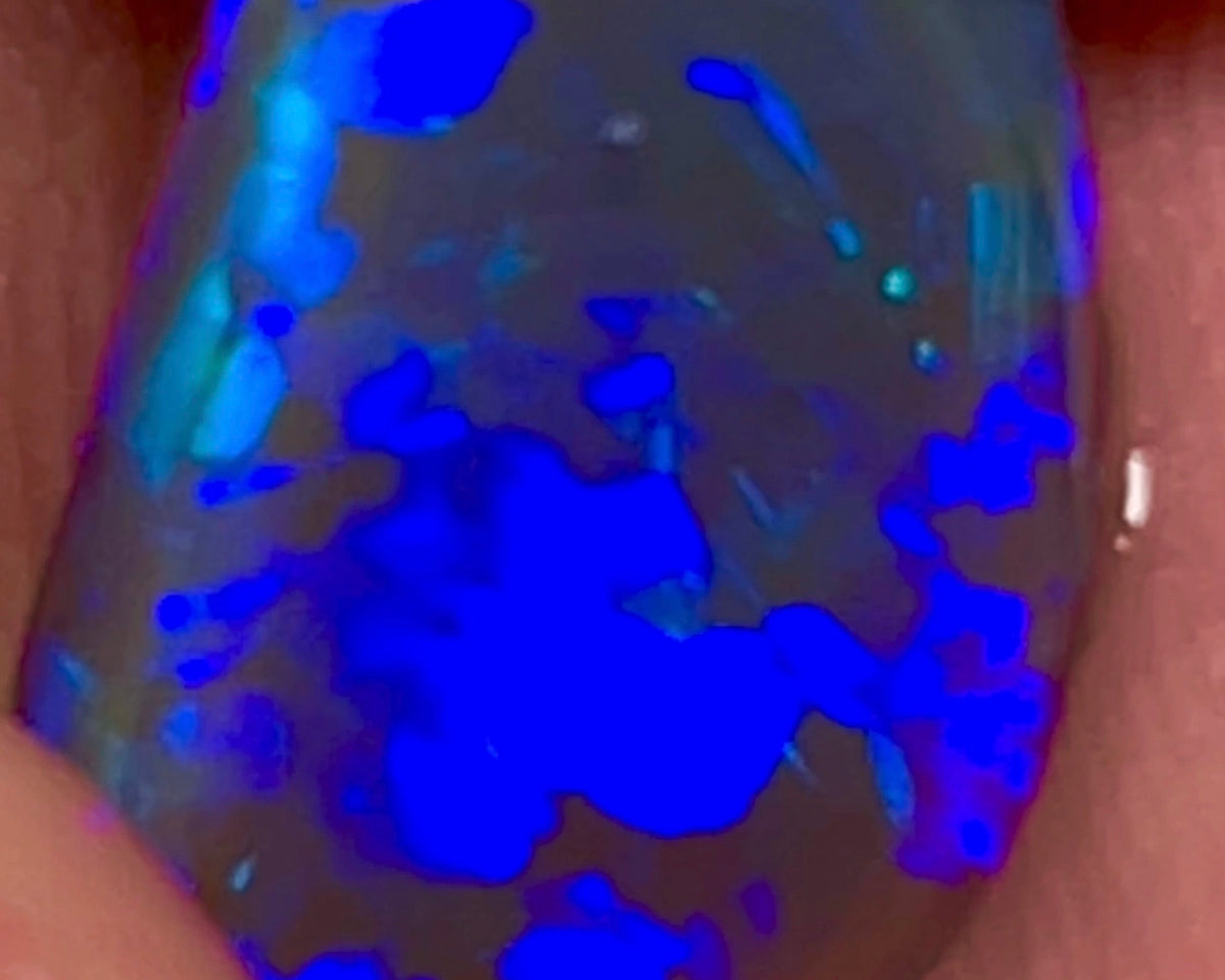 Lightning Ridge Gem Bright Dark Base Crystal Knobby Rub/preform 3.95cts Gorgeous Full face of mixed patterns with Bright Royal Blue fires 14x9x3.5mm NSW042