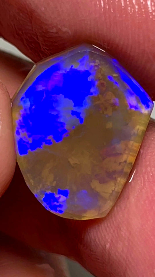 Lightning Ridge Opal Dark Crystal Knobby Rough Rub 6.75cts Broad Flash Pattern Gorgeous Bright Blues 19x15x4mm 1024