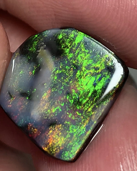 Lightning Ridge Black Opal Rough Rub 3.7cts Mulga® Field of Grawin Super Bright Yellow Orange & Red on Black 14x13x3mm WSJ49