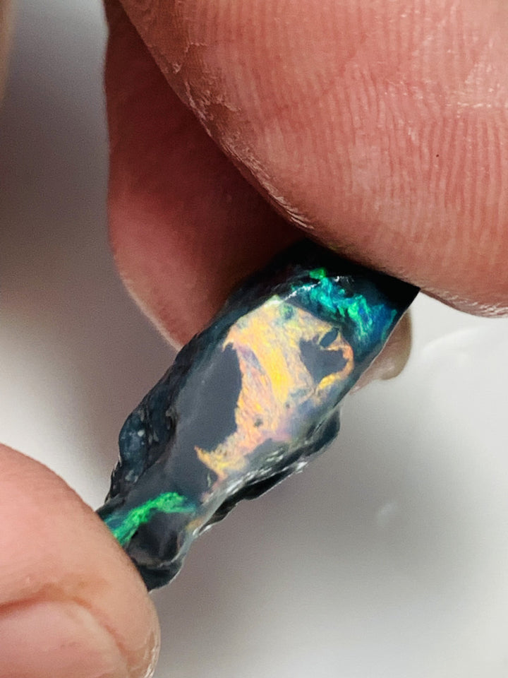 Australian Rough Mulga® Field Red on Black Opal Select Single 13cts Beautiful & Bright  Multicolours for cutters 22x15x6mm GEM666